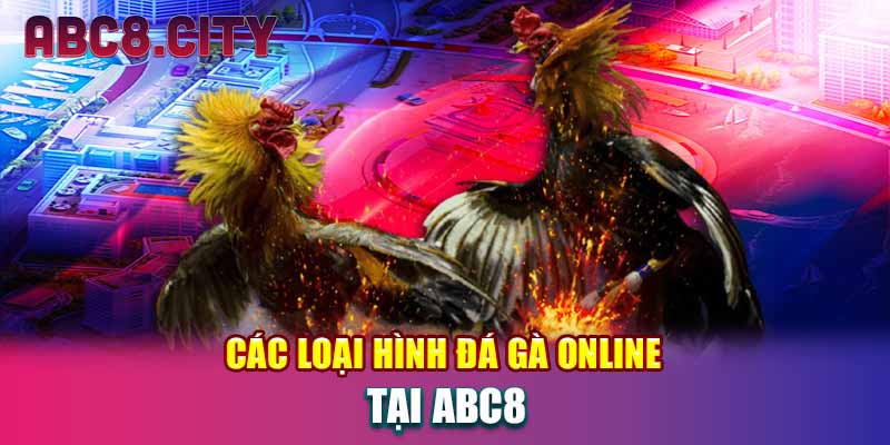 Các loại hình đá gà online tại ABC8