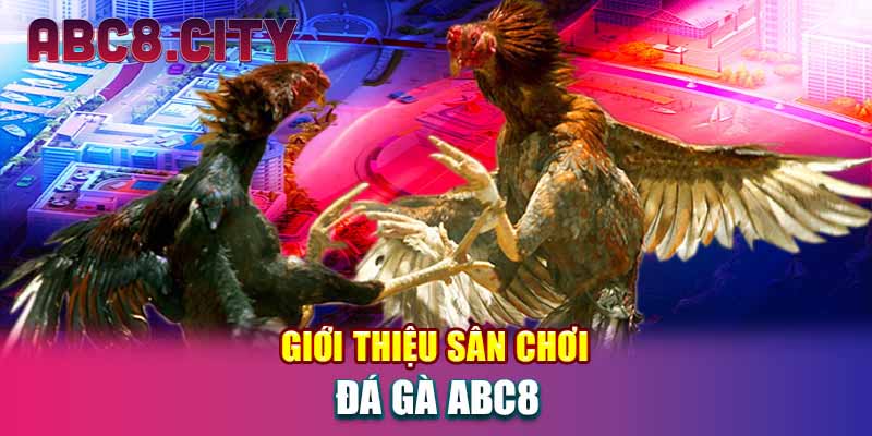 Giới thiệu sân chơi đá gà ABC8